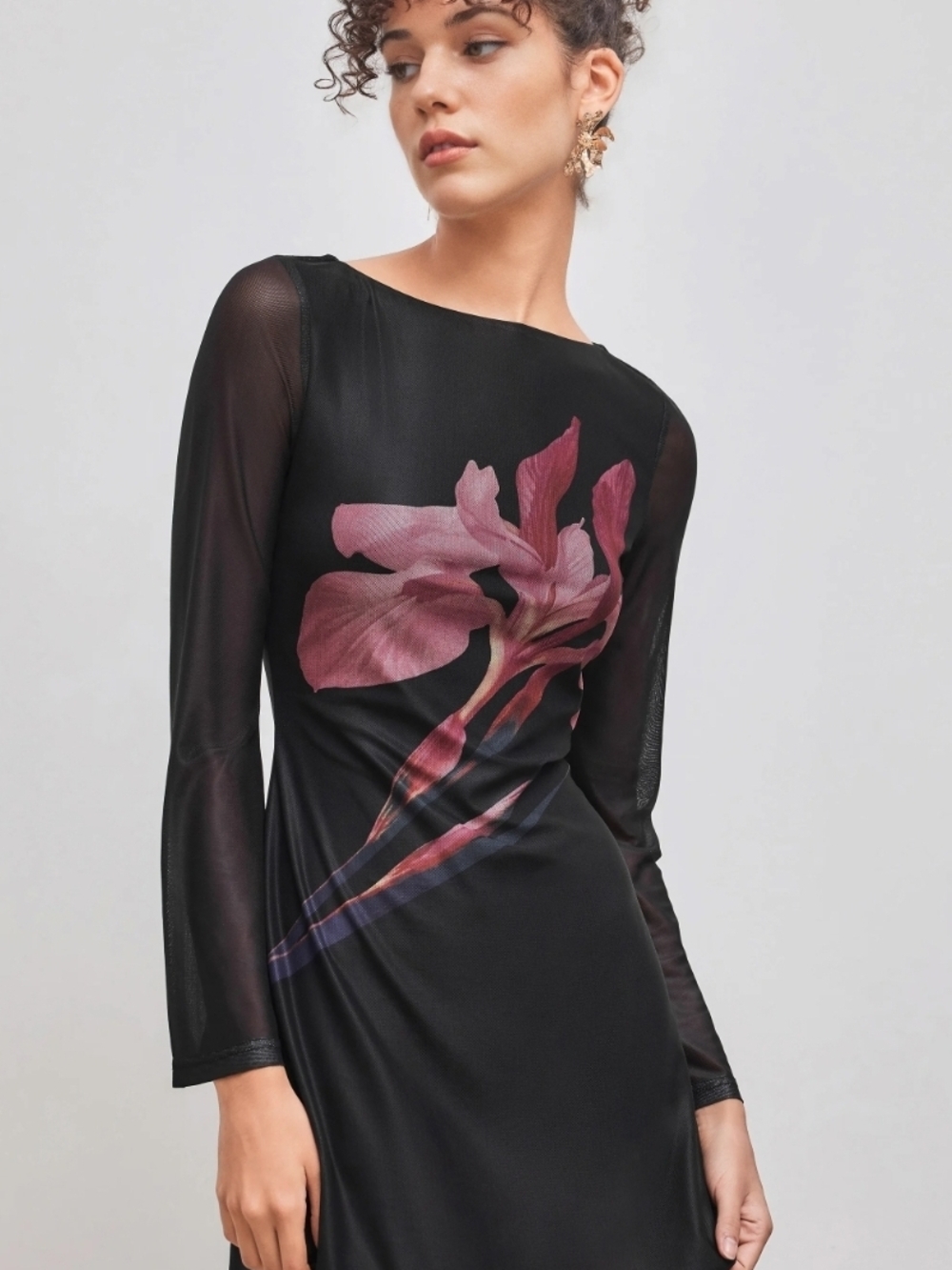 Cider Black Sheer-Sleeve Dress with Rose Floral Graphic